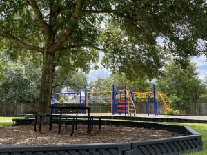 Brighton-Lane-Park