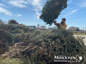 Christmas-Tree-Recycle-Jan-2023-1400x1080-Express-1