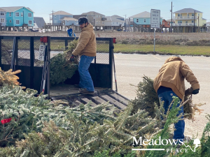 Christmas-Tree-Recycle-Jan-2023-1400x1080-Express-2