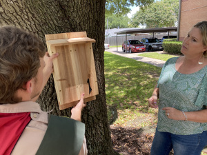 Bat-Houses-Eagle-Scout-3
