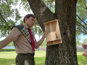 Bat-Houses-Eagle-Scout-4
