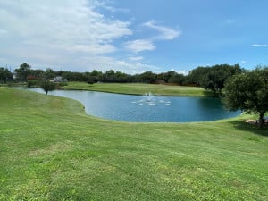 Mark-McGrath-Park-20