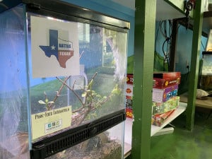 Nature-Center-Square-15