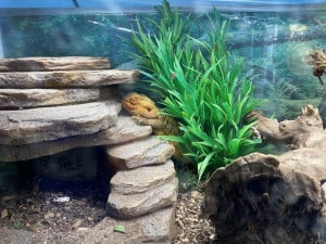 Nature-Center-Square-20