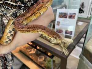 Nature-Center-Square-23