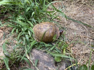 Nature-Center-Square-3