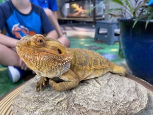 Nature-Center-Square-41