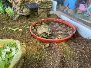 Nature-Center-Square-8